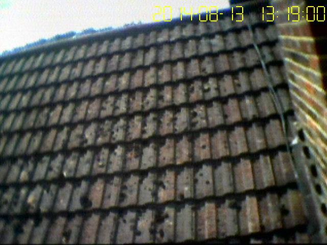 Roofing Survey