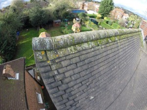 Defective ridge: Building survey roof example