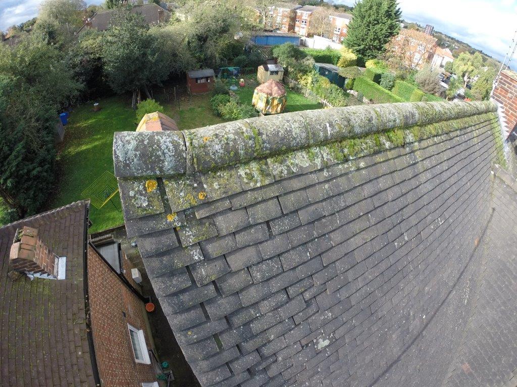 Defective ridge: Building survey roof example