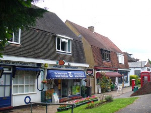 building surveyor west-horsley