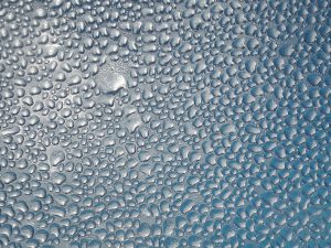 Condensation on a window
