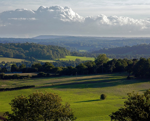 The beautiful Surrey hills
